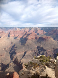 Grand Canyon Picrotate